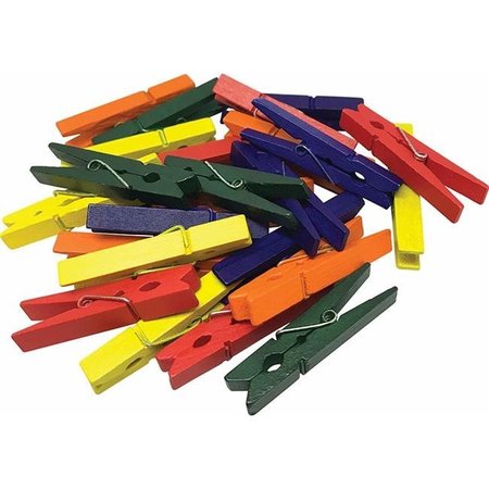 TEACHER CREATED RESOURCES Teacher Created Resources TCR20931 2 x 0.5 in. Stem Basics Medium Multicolor Clothespins; 50 Count TCR20931